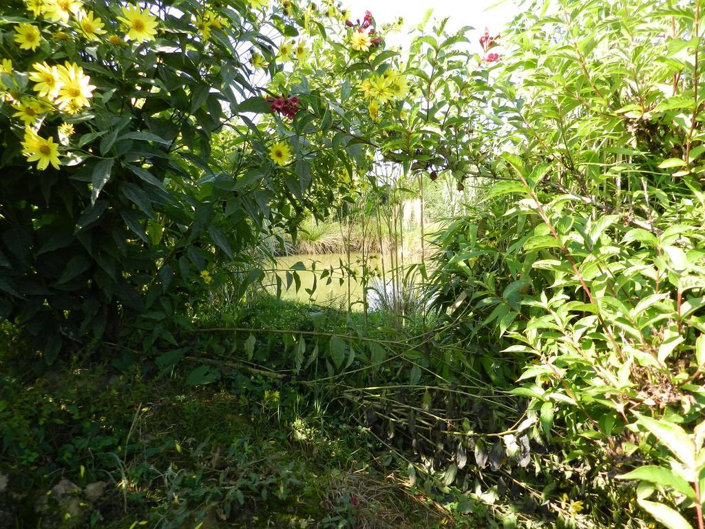 Gite La Grenouillere Esqueheries Exteriör bild