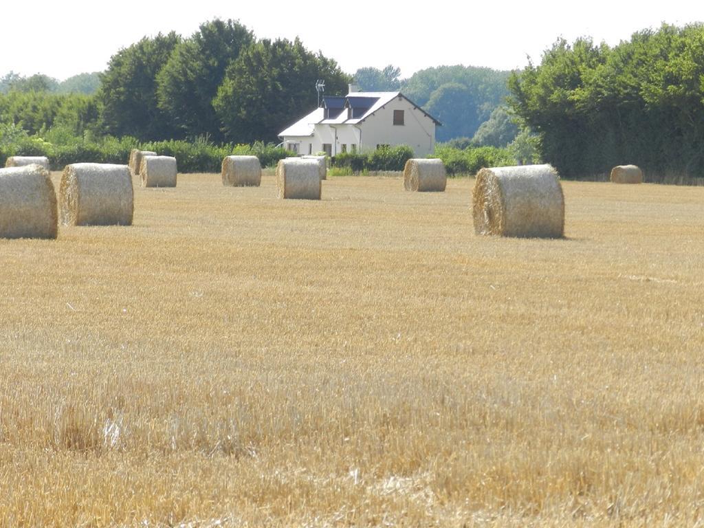 Gite La Grenouillere Esqueheries Exteriör bild
