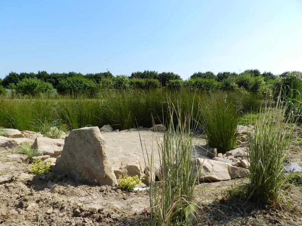 Gite La Grenouillere Esqueheries Exteriör bild